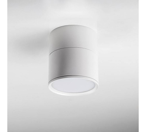 Накладной светильник Lightstar Acuto 215886