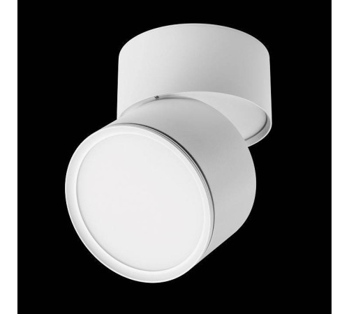 Накладной светильник Lightstar Acuto 215886