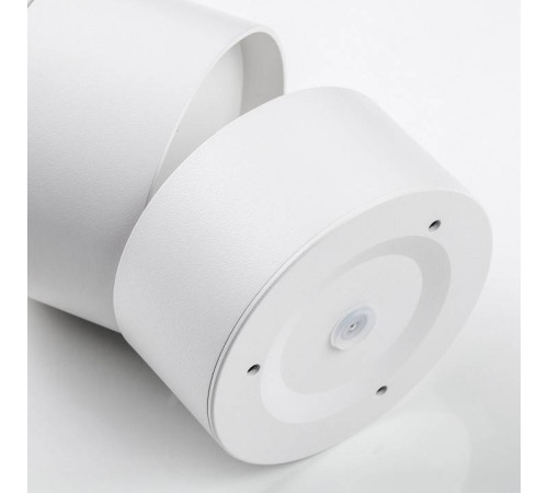 Накладной светильник Lightstar Acuto 215886