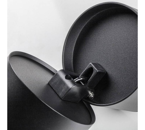 Накладной светильник Lightstar Acuto 215887