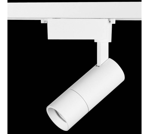 Светильник на штанге Lightstar Volta 229136