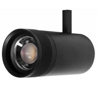 Светильник на штанге Lightstar Canno Pro 304307