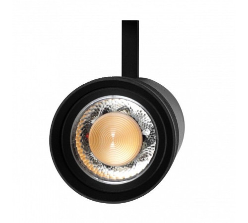Светильник на штанге Lightstar Canno Pro 304307
