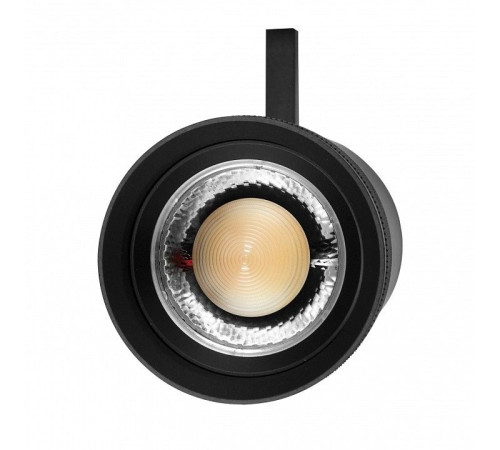 Светильник на штанге Lightstar Canno Pro 304407