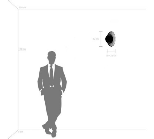 Накладной светильник Lightstar Celesta 809012