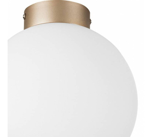 Накладной светильник Lightstar Globo 812023