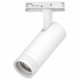 Светильник на штанге Lightstar Canno Pro C4126SS