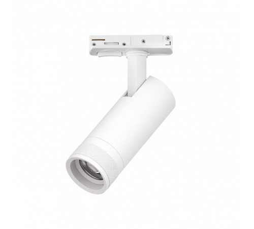 Светильник на штанге Lightstar Canno Pro C4126SS