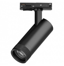 Светильник на штанге Lightstar Canno Pro C4127SS