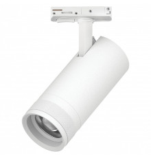 Светильник на штанге Lightstar Canno Pro C4206SS