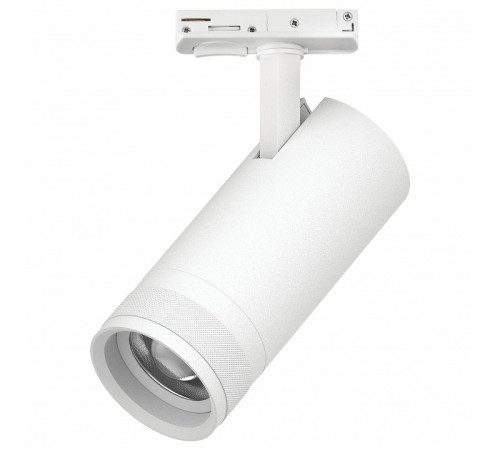 Светильник на штанге Lightstar Canno Pro C4206SS