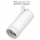 Светильник на штанге Lightstar Canno Pro C4206SS