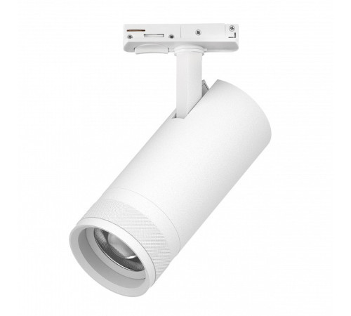 Светильник на штанге Lightstar Canno Pro C4206SS