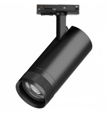 Светильник на штанге Lightstar Canno Pro C4207SS