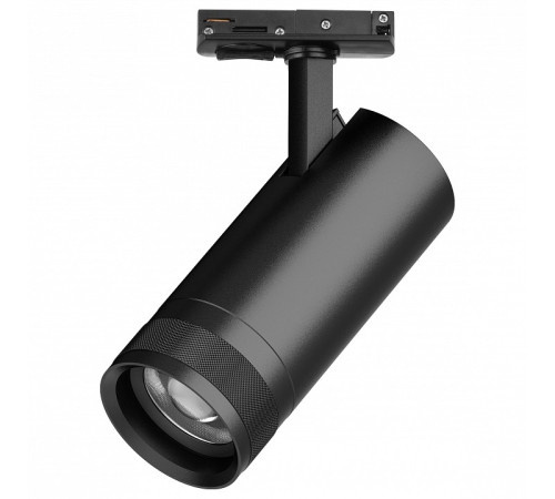 Светильник на штанге Lightstar Canno Pro C4207SS