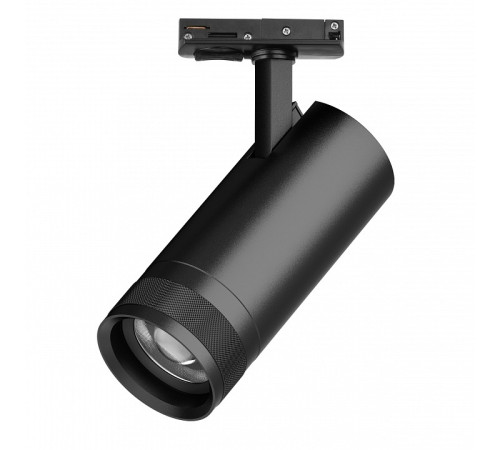 Светильник на штанге Lightstar Canno Pro C4207SS
