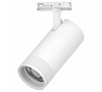 Светильник на штанге Lightstar Canno Pro C4306SS