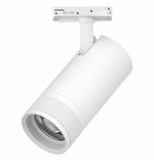 Светильник на штанге Lightstar Canno Pro C4306SS