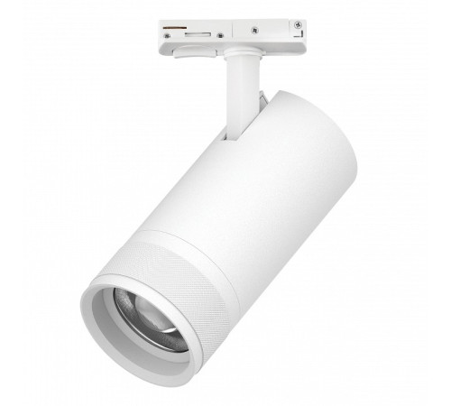 Светильник на штанге Lightstar Canno Pro C4306SS