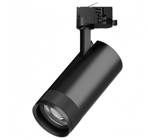 Светильник на штанге Lightstar Canno Pro C4307QT