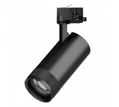 Светильник на штанге Lightstar Canno Pro C4307QT