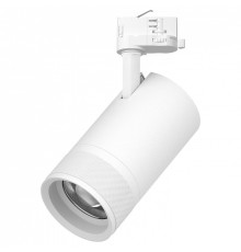 Светильник на штанге Lightstar Canno Pro C4406QT
