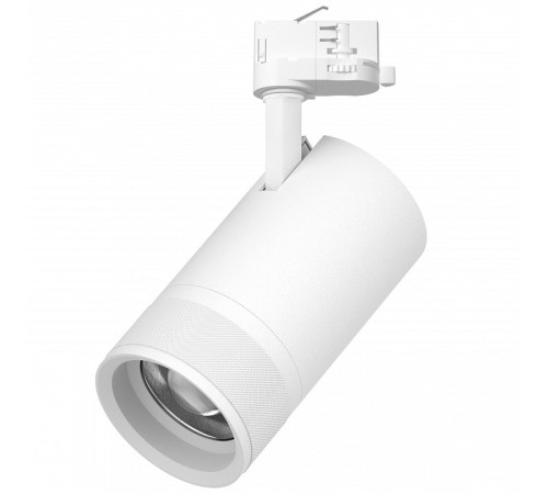 Светильник на штанге Lightstar Canno Pro C4406QT