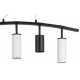Подвесной светильник Lightstar Rullo LR735372863
