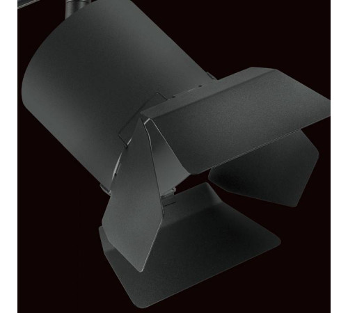 Светильник на штанге Lightstar Rullo PRO3487487