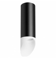 Накладной светильник Lightstar Rullo 2 R48736