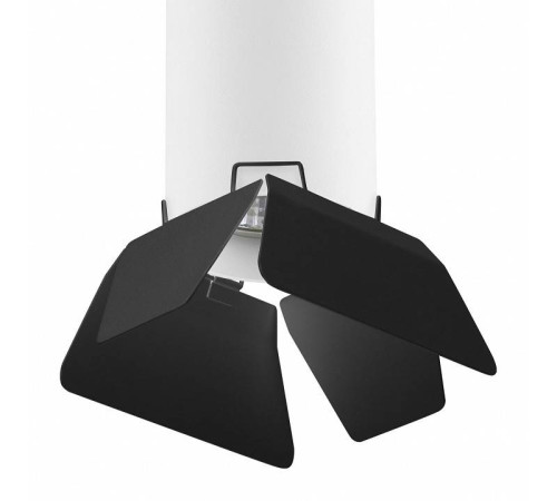 Накладной светильник Lightstar Rullo 3 R496437