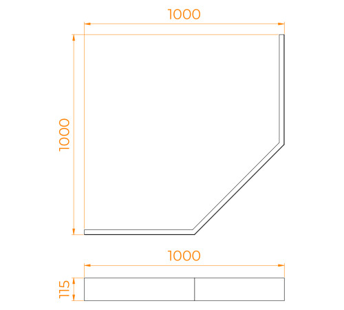 Экран для душевого поддона RGW LUX/TN-TR 100х100 мм 16230111-13