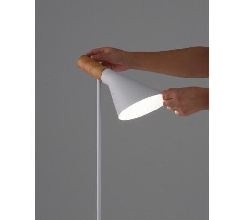 Торшер Moderli Turin V11336-1F