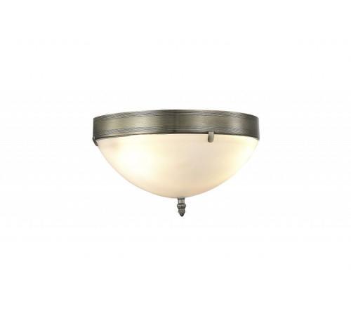 Накладной светильник MyFar Biene MR2520-2W
