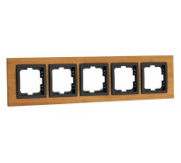 Рамка на 5 постов Mono Electric Style 107-530000-164