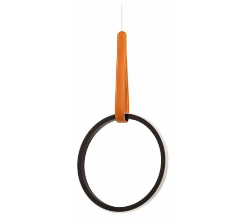 Подвесной светильник DeMarkt Ральф 11 675015901