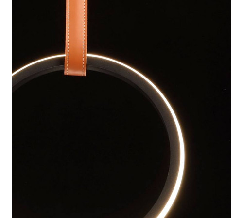 Подвесной светильник DeMarkt Ральф 11 675015901