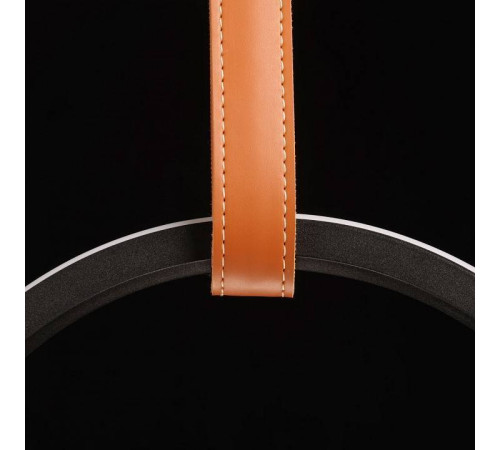 Подвесной светильник DeMarkt Ральф 11 675015901