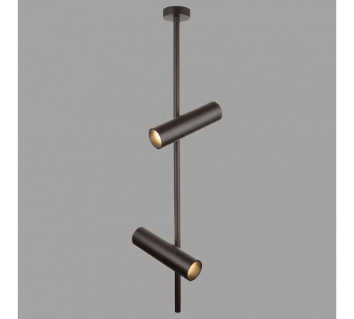 Светильник на штанге Maytoni Elti C021CL-02B