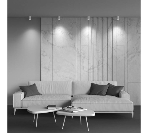 Накладной светильник Maytoni Zoom C029CL-01-S-W