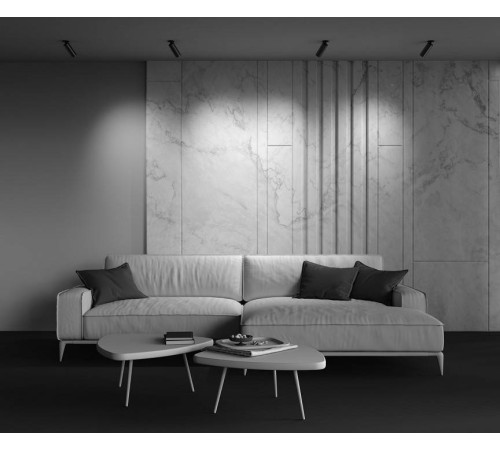 Встраиваемый светильник на штанге Maytoni FOCUS LED C053CL-L12W2.7K-W-BS