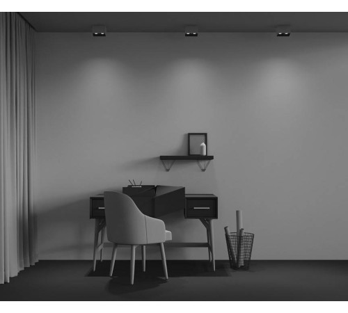 Накладной светильник Maytoni Alfa LED C065CL-02-L12W4K-W