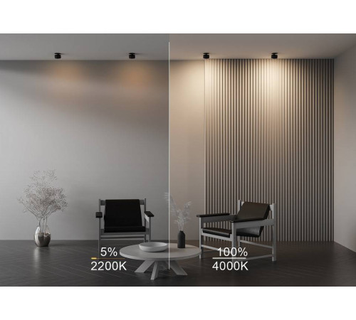 Встраиваемый светильник Maytoni Onda DL024-12W-DTW-B