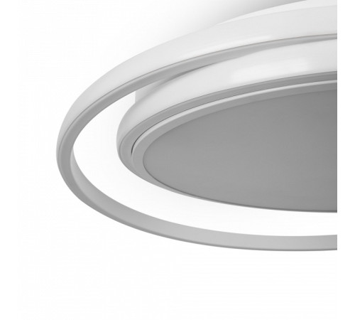 Накладной светильник Freya FR10032CL-L98W