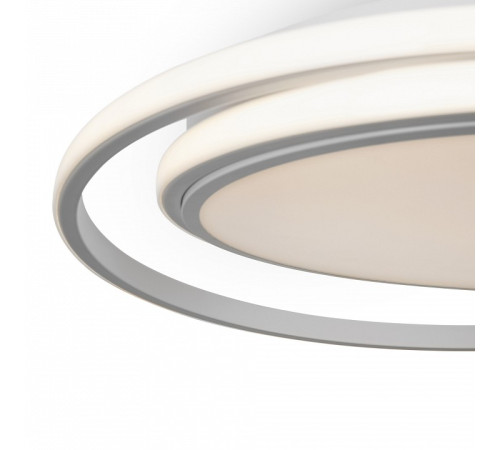 Накладной светильник Freya FR10032CL-L98W