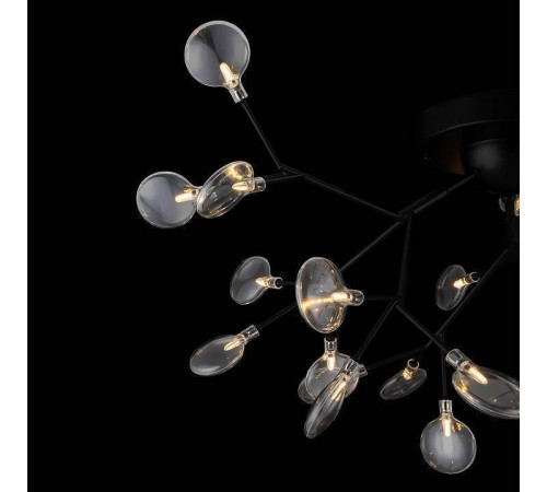 Потолочная люстра Freya Florencia FR5049CL-27B