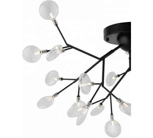 Потолочная люстра Freya Florencia FR5049CL-27B