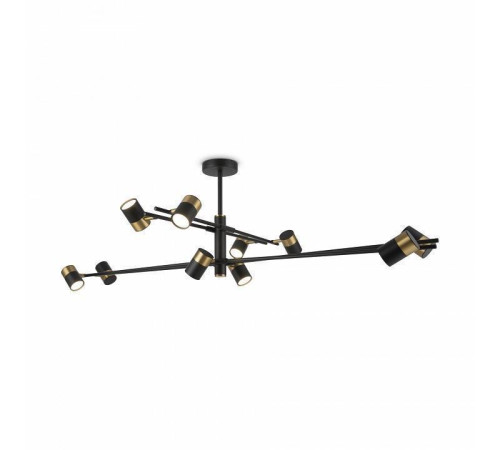 Люстра на штанге Freya Enzo FR5201PL-10B