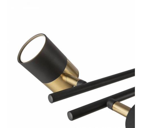 Люстра на штанге Freya Enzo FR5201PL-10B