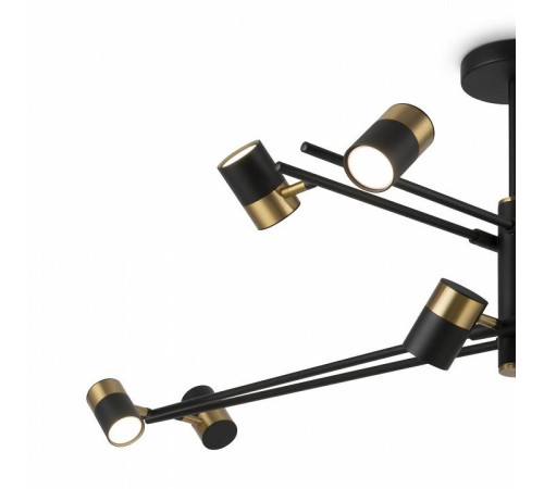 Люстра на штанге Freya Enzo FR5201PL-10B